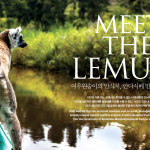 meet-the-lemurs